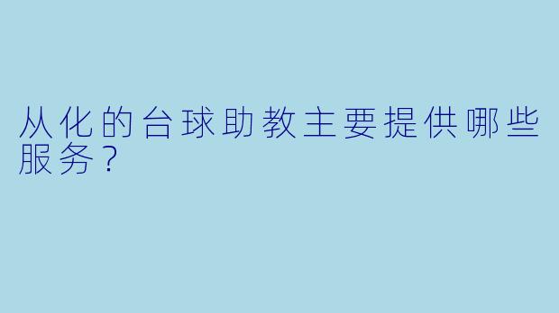 从化的台球助教主要提供哪些服务？