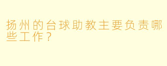 扬州的台球助教主要负责哪些工作？