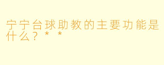 宁宁台球助教的主要功能是什么？**