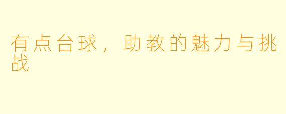 有点台球，助教的魅力与挑战