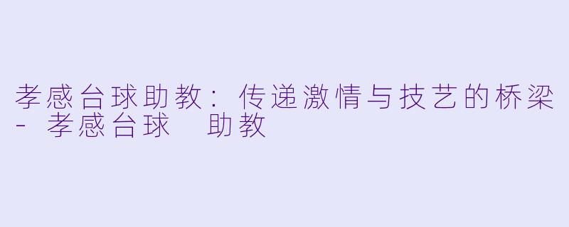 孝感台球助教:传递激情与技艺的桥梁