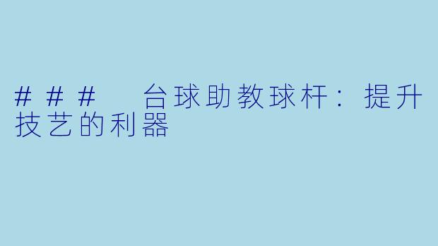 ### 台球助教球杆：提升技艺的利器