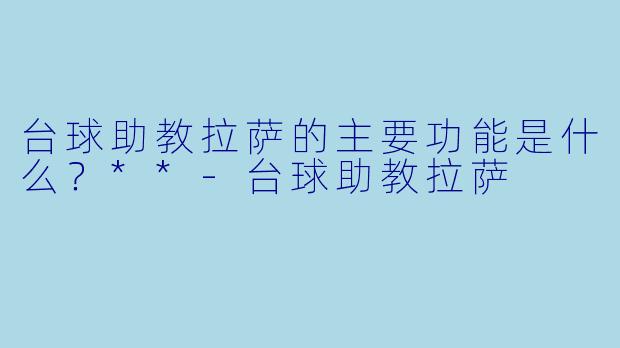 台球助教拉萨的主要功能是什么？**