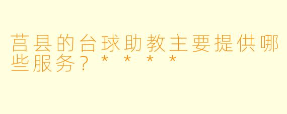莒县的台球助教主要提供哪些服务？****