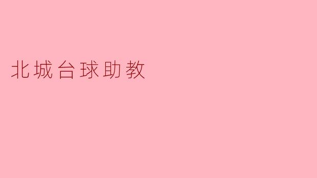 北城台球助教的主要职责是什么？**