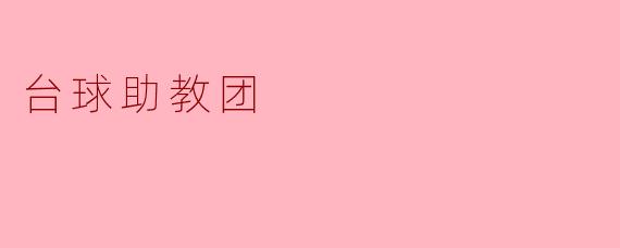台球助教团