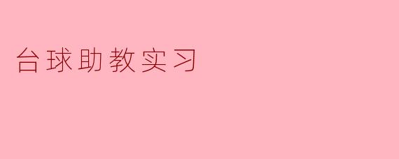 台球助教实习