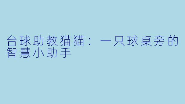 台球助教猫猫:一只球桌旁的智慧小助手