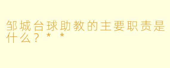 邹城台球助教的主要职责是什么？**