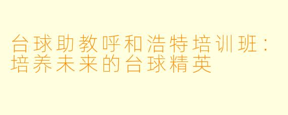 台球助教呼和浩特培训班：培养未来的台球精英