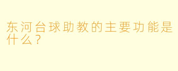 东河台球助教的主要功能是什么？