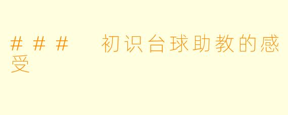 ### 初识台球助教的感受