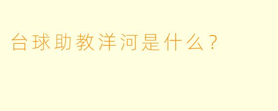 台球助教洋河是什么？