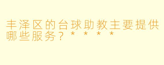 丰泽区的台球助教主要提供哪些服务？****
