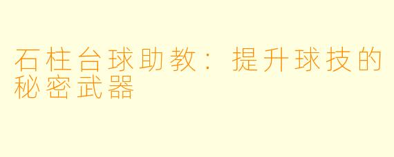 石柱台球助教：提升球技的秘密武器