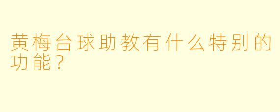 黄梅台球助教有什么特别的功能？  