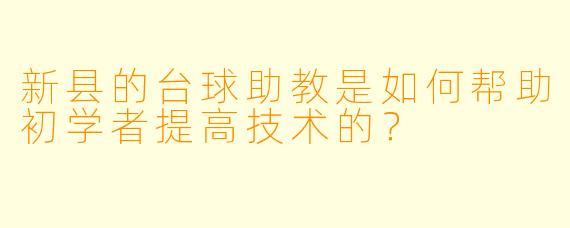 新县的台球助教是如何帮助初学者提高技术的？