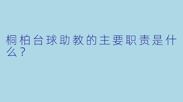 桐柏台球助教的主要职责是什么？