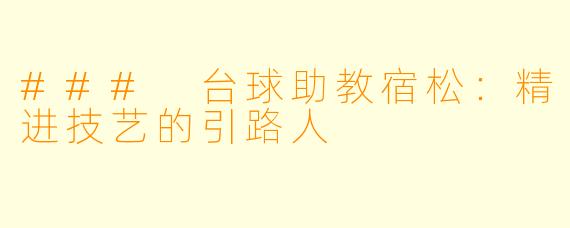 ### 台球助教宿松：精进技艺的引路人
