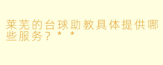 莱芜的台球助教具体提供哪些服务？**