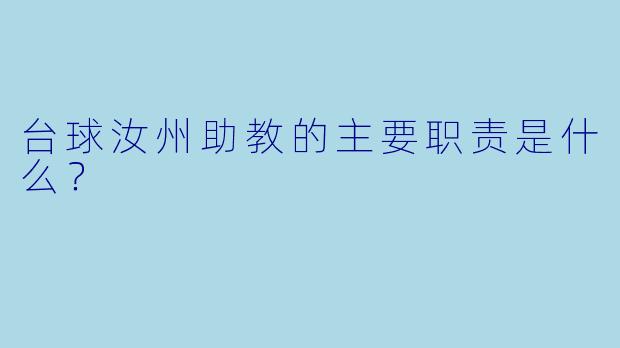 台球汝州助教的主要职责是什么？