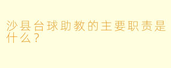 沙县台球助教的主要职责是什么？