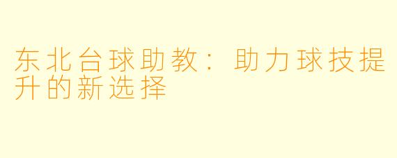 东北台球助教：助力球技提升的新选择