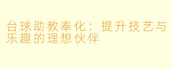 台球助教奉化：提升技艺与乐趣的理想伙伴