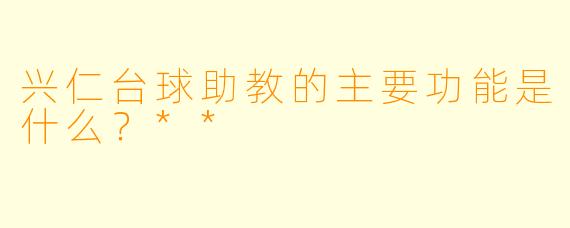 兴仁台球助教的主要功能是什么？**