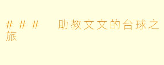 ### 助教文文的台球之旅