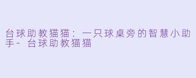 台球助教猫猫：一只球桌旁的智慧小助手-台球助教猫猫