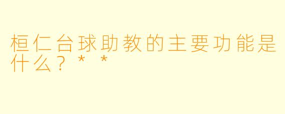 桓仁台球助教的主要功能是什么？**