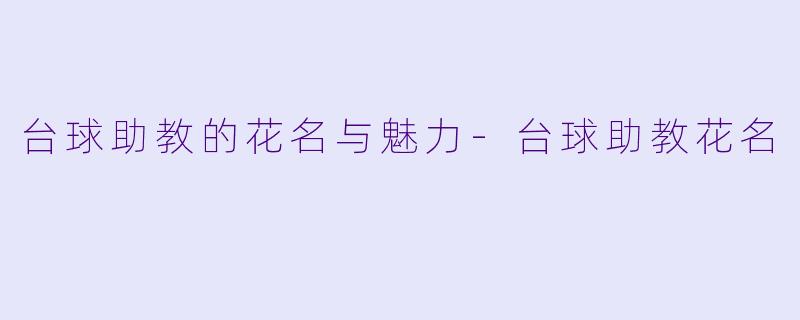 台球助教的花名与魅力