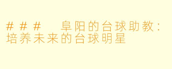 ### 阜阳的台球助教：培养未来的台球明星