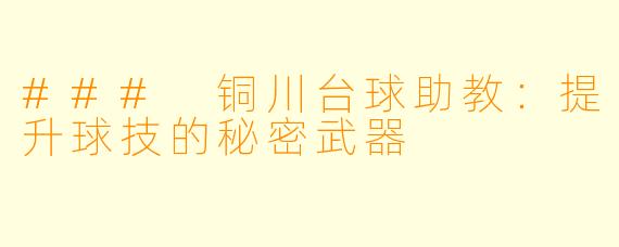 ### 铜川台球助教:提升球技的秘密武器