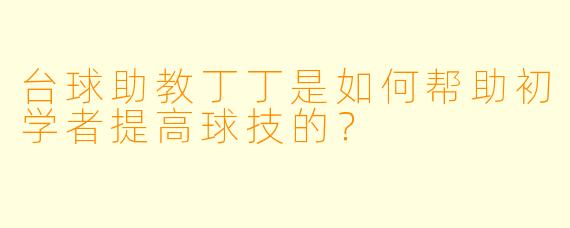 台球助教丁丁是如何帮助初学者提高球技的？