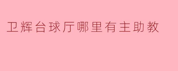 卫辉台球厅哪里有主助教