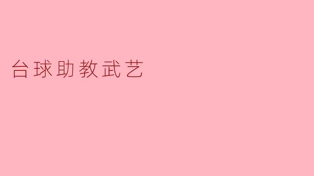 台球助教武艺