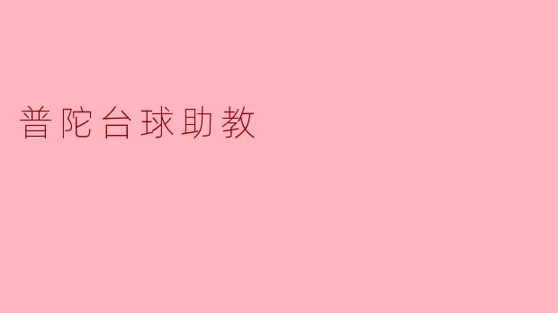普陀台球助教的主要职责是什么？
