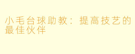 小毛台球助教：提高技艺的最佳伙伴
