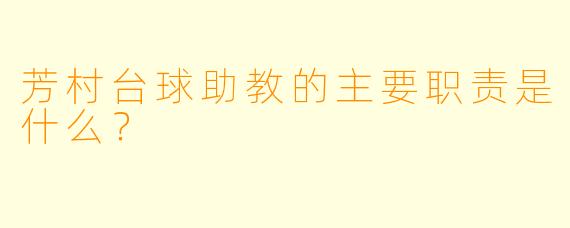 芳村台球助教的主要职责是什么？