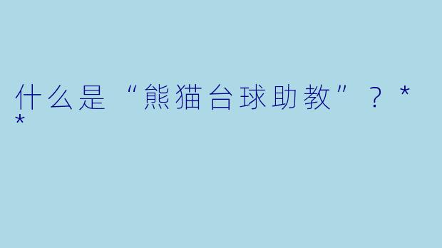 什么是“熊猫台球助教”?**