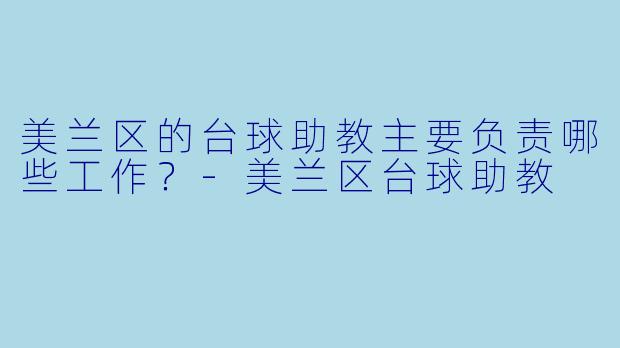 美兰区的台球助教主要负责哪些工作？