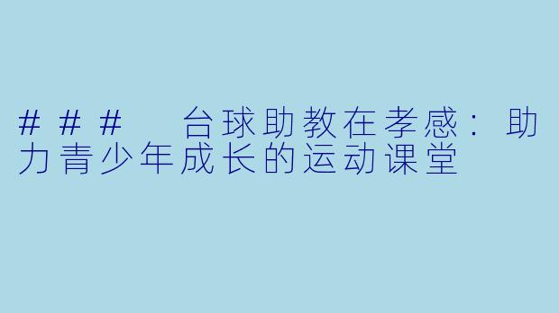 ### 台球助教在孝感：助力青少年成长的运动课堂