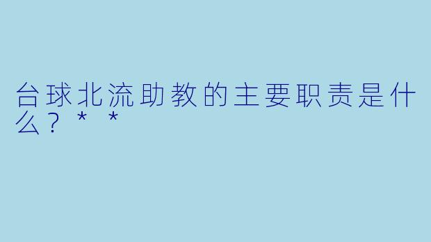 台球北流助教的主要职责是什么？**
