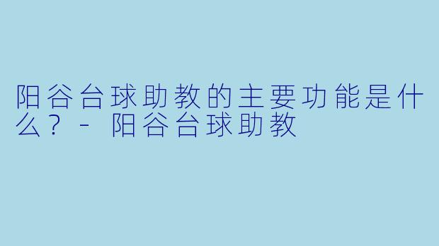 阳谷台球助教的主要功能是什么？