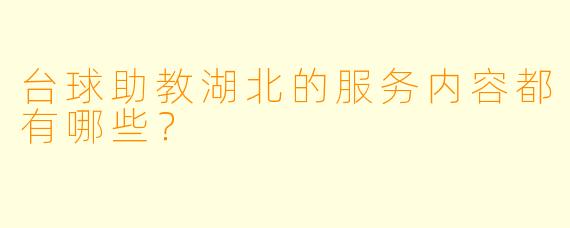 台球助教湖北的服务内容都有哪些？