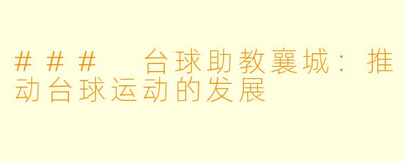 ### 台球助教襄城:推动台球运动的发展