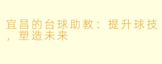 宜昌的台球助教：提升球技，塑造未来