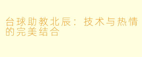 台球助教北辰：技术与热情的完美结合